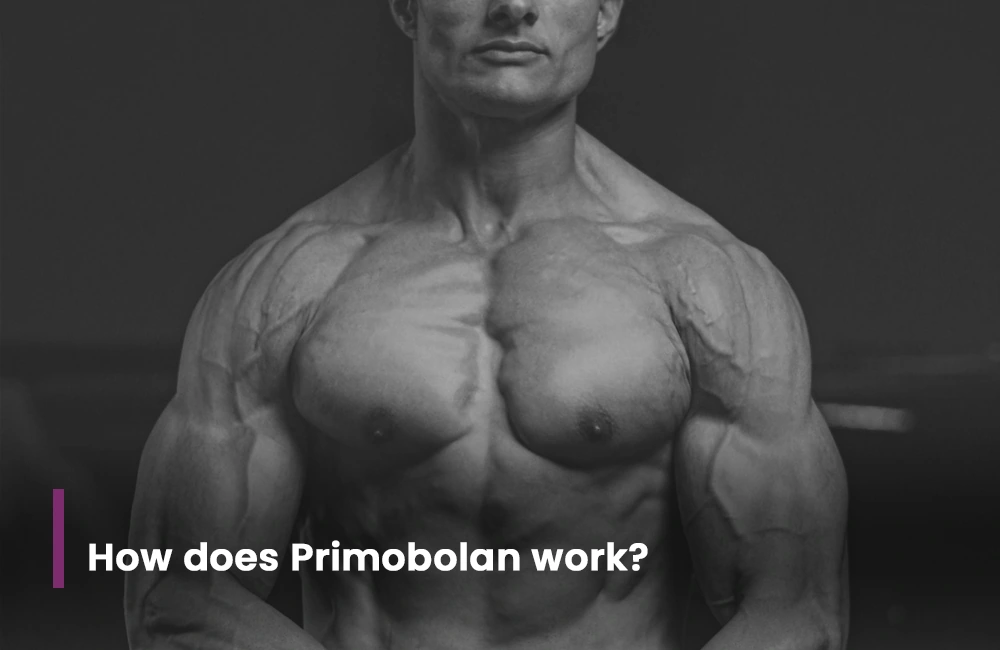 How does Primobolan work